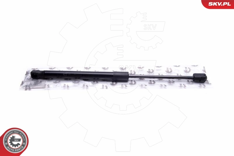 Gas Spring, bonnet